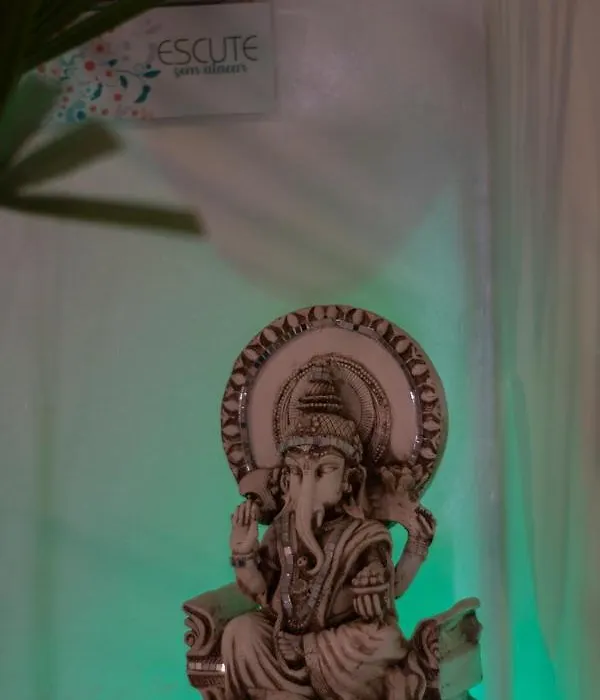 Ashram Anandini-1